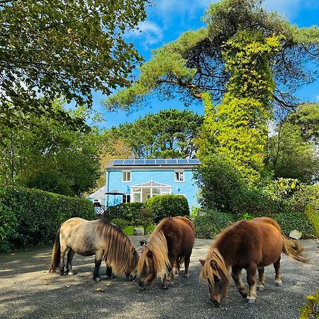 Bay View Cottage St Austell Εξωτερικό φωτογραφία