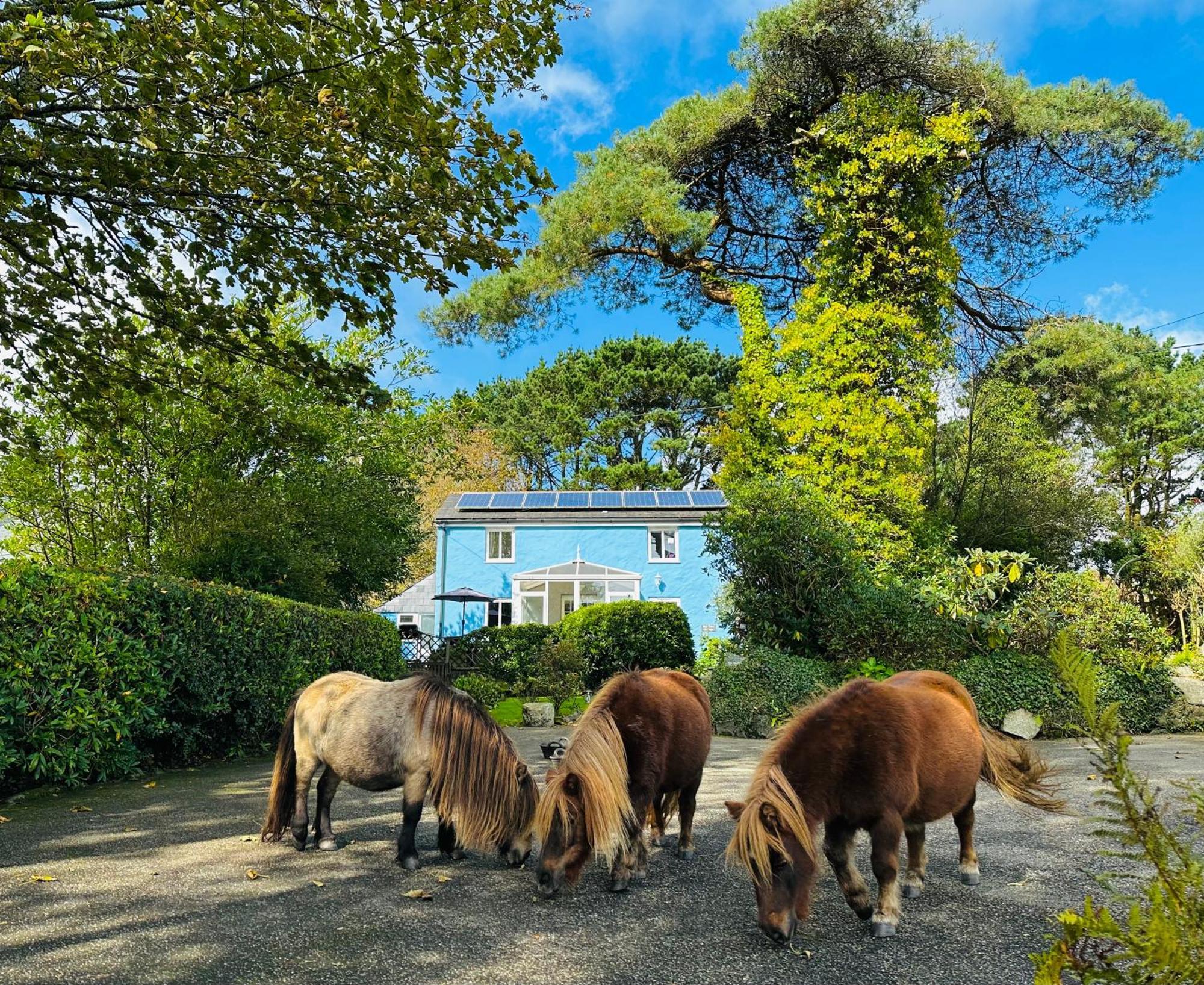 Bay View Cottage St Austell Εξωτερικό φωτογραφία